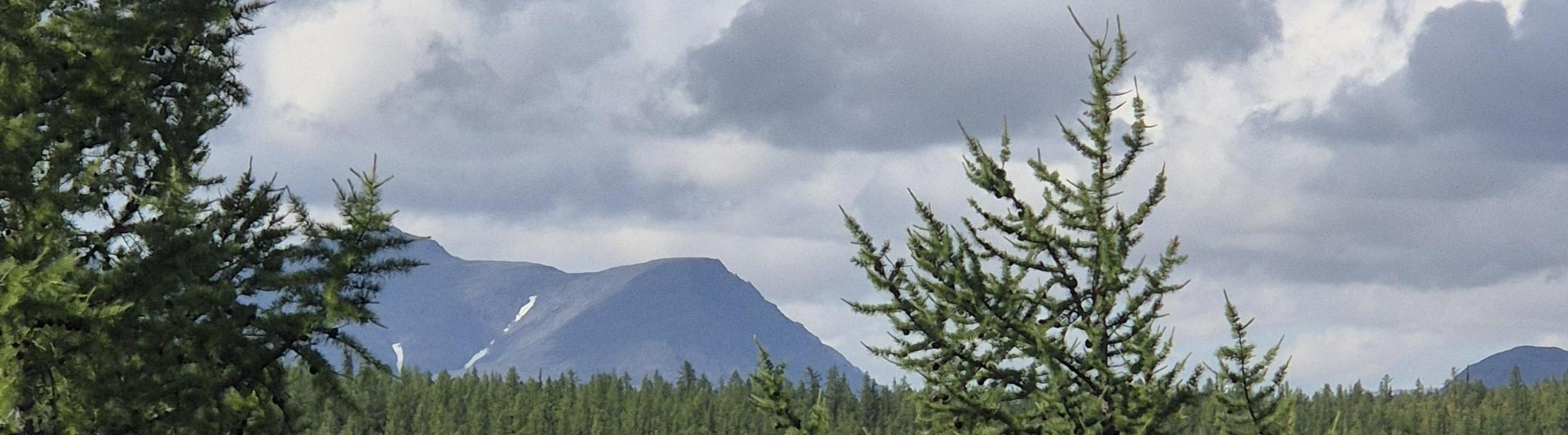 Людмила Потапова