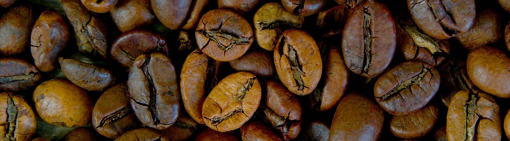 Виталий Рогожников