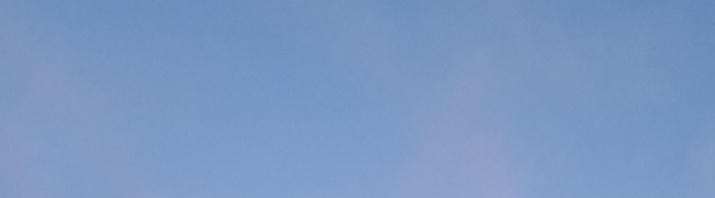 Леся Сунцова